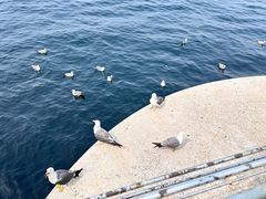 -大连海昌东方水城