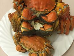 清蒸大闸蟹-王宝和酒家(黄浦店)