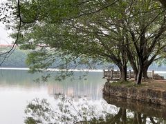 -三水森林公园