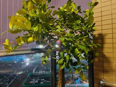 -绿茶餐厅(壹方天地店)