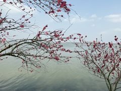 -瑶湖郊野森林公园