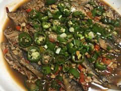 -全乐鱼馆·淳牌有机鱼直营店