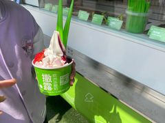 -Salud撒露欧洲冻酸奶(蓝色港湾店)