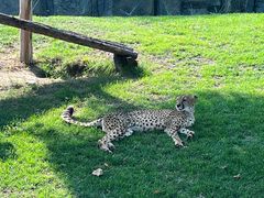 -北京野生动物园