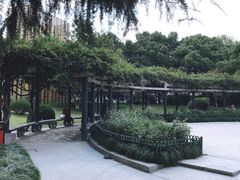 -大关公园