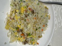 -丁老爷子苏香圆