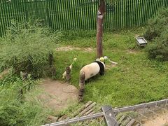 -沈阳森林动物园