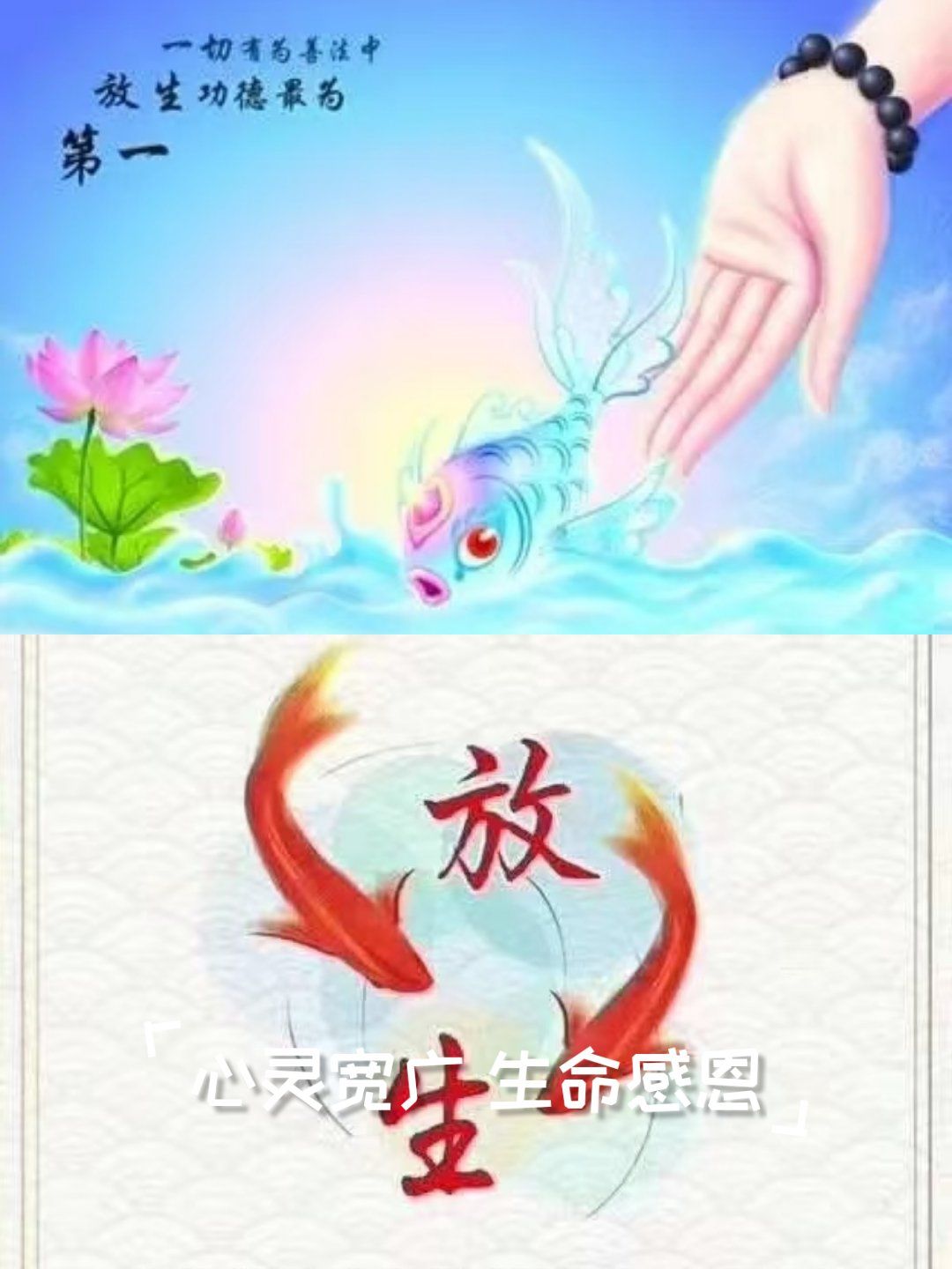 心灵宽广 生命感恩放生