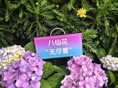 -杭州少年儿童公园