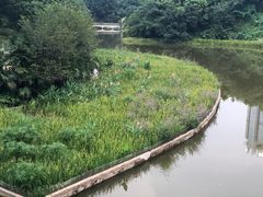 -百林公园-两江幸福广场