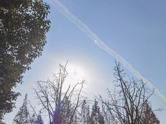 -侵华日军南京大屠杀遇难同胞纪念馆