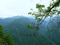 -陕西省红河谷森林公园