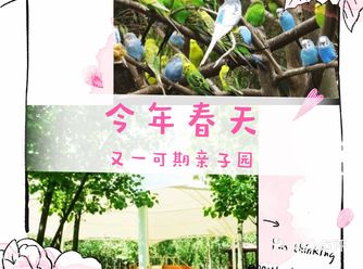 今年春天又一可期亲子园