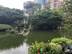 -九龙公园