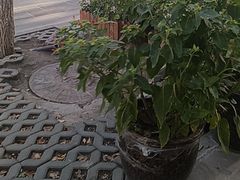 -海尔巴格一甸茶餐厅(团结路店)