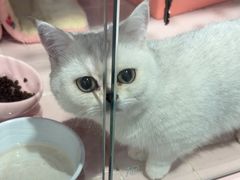 -FAELING PETS美天灵宠物(富力广场店)