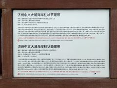 -柱状节理带