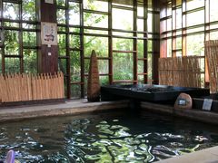 -楼观道温泉酒店