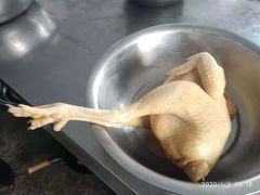 -庆岭迎宾园正宗活鱼馆