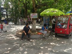 -广东茂名森林公园
