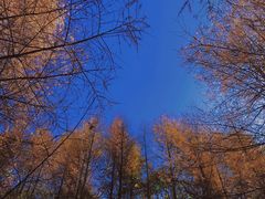 -秦岭风景区