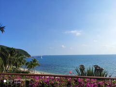 -日落吧·海景咖啡厅·餐酒吧·鸡尾酒·下午茶·乐队表演·浪漫夕阳·三亚文华东方酒店
