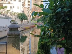-麦当劳(龙洞店)