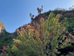 -孤山寨风景区