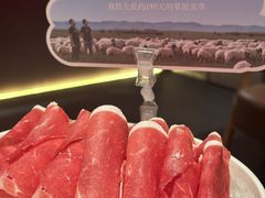 -巴奴毛肚火锅(七宝领展广场店)