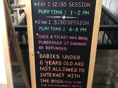 -TrueLove @ Neverland (Husky Cafe)