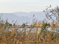 -野鸭湖国家湿地公园