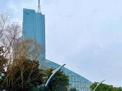 -天鹅湖体育公园