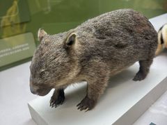 -国家自然博物馆