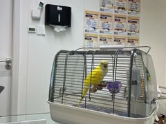 -立德异宠动物医院.兔鸟爬.内窥镜(天河店)