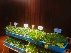 -真爱中国餐馆·年华店(朱雀大街店)