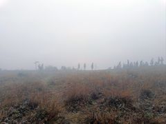 -白草畔自然风景区