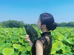 -梁鸿国家湿地公园
