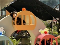 -福田卓悦INTOWN购物中心