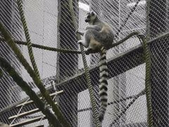 -石排湾郊野公园