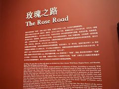 -德基艺术博物馆