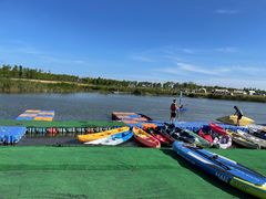 -春花秋色城市公园