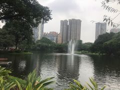 -晓港公园
