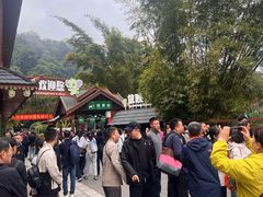 -野象谷景区