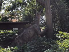 -自然谷恐龙园