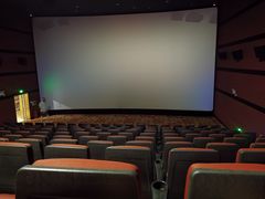 -悦江新远影城IMAX