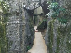 android_upload_pic-梦幻奥陶纪景区