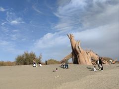 -金塔沙漠胡杨林景区