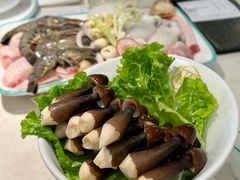 云南鸡枞菌-椰客·海南椰子鸡(新塘永旺梦乐城店)