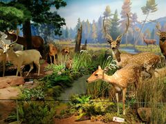 -陕西自然博物馆