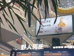 -野人先生Gelato(上海长宁龙之梦店)